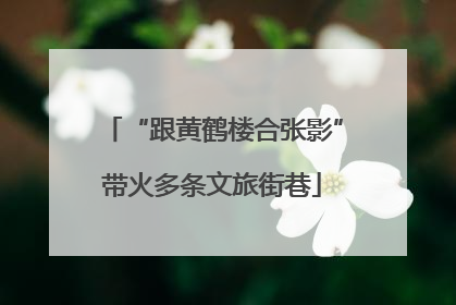 “跟黄鹤楼合张影”带火多条文旅街巷