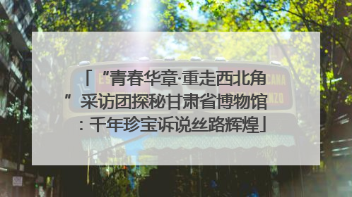 “青春华章·重走西北角”采访团探秘甘肃省博物馆：千年珍宝诉说丝路辉煌