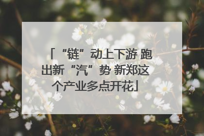 “链”动上下游 跑出新“汽”势 新郑这个产业多点开花