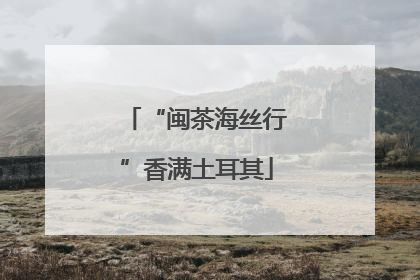 “闽茶海丝行”香满土耳其