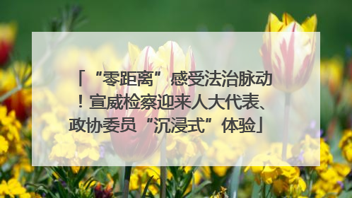 “零距离”感受法治脉动！宣威检察迎来人大代表、政协委员“沉浸式”体验