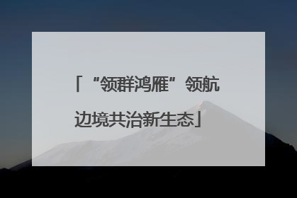 “领群鸿雁”领航边境共治新生态