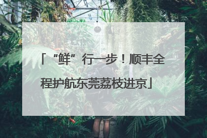 “鲜”行一步！顺丰全程护航东莞荔枝进京