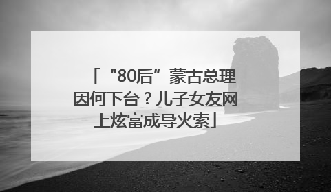 “80后”蒙古总理因何下台？儿子女友网上炫富成导火索