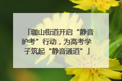 珈山街道开启“静音护考”行动，为高考学子筑起“静音通道”
