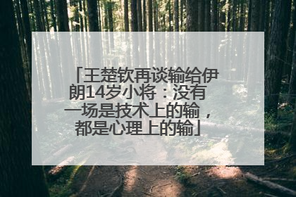 王楚钦再谈输给伊朗14岁小将：没有一场是技术上的输，都是心理上的输