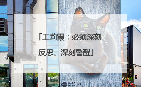 王莉霞：必须深刻反思、深刻警醒