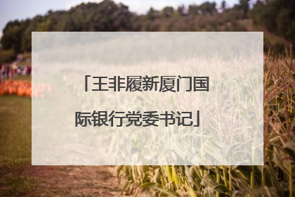 王非履新厦门国际银行党委书记