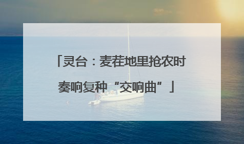 灵台：麦茬地里抢农时 奏响复种“交响曲”