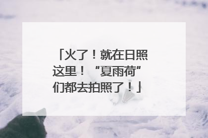 火了！就在日照这里！“夏雨荷”们都去拍照了！