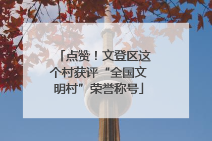 点赞！文登区这个村获评“全国文明村”荣誉称号