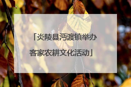 炎陵县沔渡镇举办客家农耕文化活动
