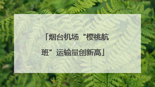 烟台机场“樱桃航班”运输量创新高
