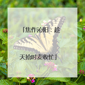 焦作沁阳：趁天抢时麦收忙