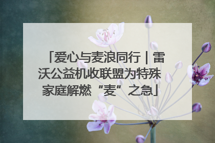 爱心与麦浪同行｜雷沃公益机收联盟为特殊家庭解燃“麦”之急