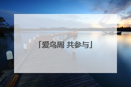 爱鸟周 共参与