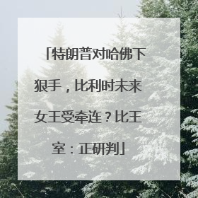 特朗普对哈佛下狠手，比利时未来女王受牵连？比王室：正研判