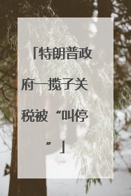 特朗普政府一揽子关税被“叫停”