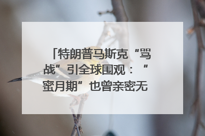 特朗普马斯克“骂战”引全球围观：“蜜月期”也曾亲密无间｜国际观察