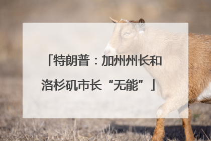 特朗普：加州州长和洛杉矶市长“无能”