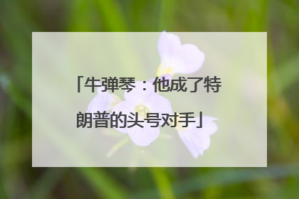 牛弹琴：他成了特朗普的头号对手
