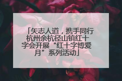 矢志人道，携手同行 杭州余杭径山镇红十字会开展“红十字博爱月”系列活动