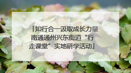 知行合一汲取成长力量 南通通州兴东街道“行走课堂”实地研学活动