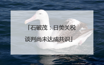 石破茂：日美关税谈判尚未达成共识