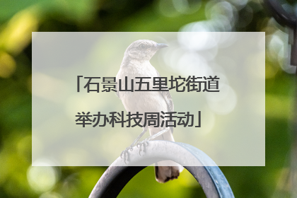 石景山五里坨街道举办科技周活动