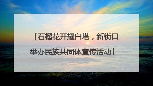 石榴花开耀白塔，新街口举办民族共同体宣传活动