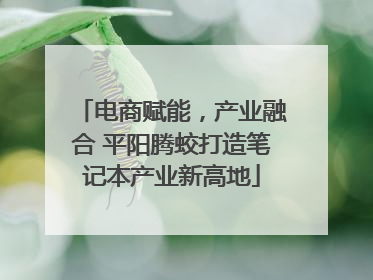 电商赋能，产业融合 平阳腾蛟打造笔记本产业新高地