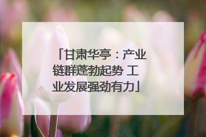 甘肃华亭：产业链群蓬勃起势 工业发展强劲有力