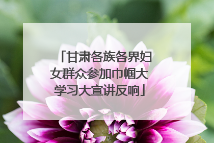 甘肃各族各界妇女群众参加巾帼大学习大宣讲反响