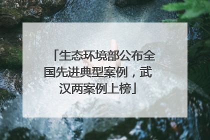 生态环境部公布全国先进典型案例，武汉两案例上榜