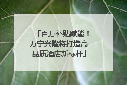 百万补贴赋能！万宁兴隆将打造高品质酒店新标杆