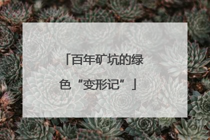 百年矿坑的绿色“变形记”