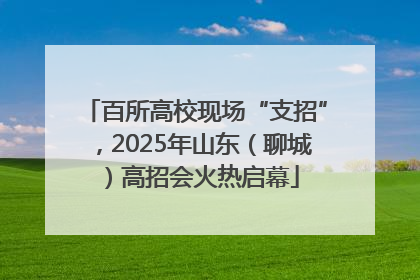百所高校现场“支招”，2025年山东（聊城）高招会火热启幕
