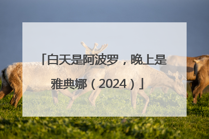 白天是阿波罗，晚上是雅典娜（2024）