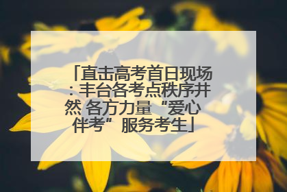 直击高考首日现场：丰台各考点秩序井然 各方力量“爱心伴考”服务考生
