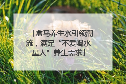 盒马养生水引领潮流，满足“不爱喝水星人”养生需求