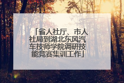 省人社厅、市人社局到湖北东风汽车技师学院调研技能竞赛集训工作