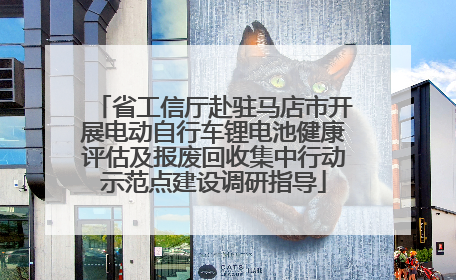 省工信厅赴驻马店市开展电动自行车锂电池健康评估及报废回收集中行动示范点建设调研指导