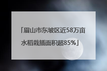眉山市东坡区近58万亩水稻栽插面积超85%