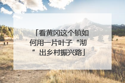 看黄冈这个镇如何用一片叶子“沏”出乡村振兴路