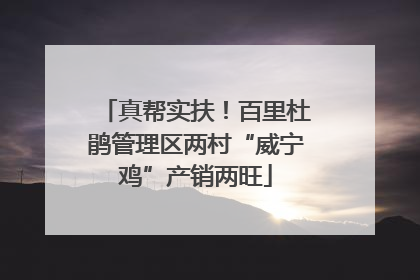 真帮实扶！百里杜鹃管理区两村“威宁鸡”产销两旺