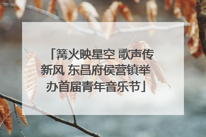 篝火映星空 歌声传新风 东昌府侯营镇举办首届青年音乐节
