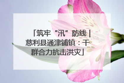 筑牢“汛”防线｜慈利县通津铺镇：干群合力抗击洪灾