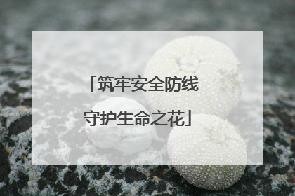 筑牢安全防线 守护生命之花