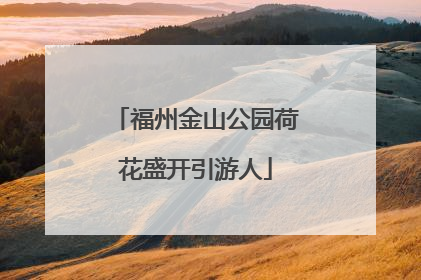 福州金山公园荷花盛开引游人