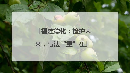 福建德化：检护未来，与法“童”在